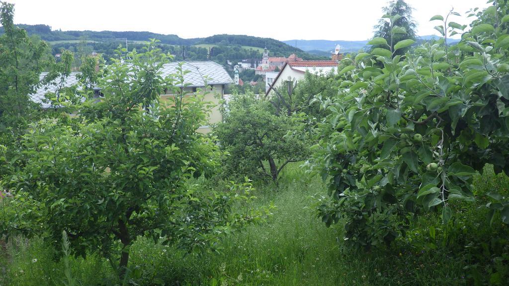 Ubytovani U Dolanskych Český Krumlov Dış mekan fotoğraf